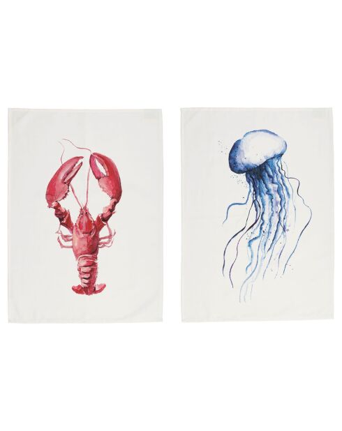 2 strofinacci Ocean bianchi - 50x70 cm