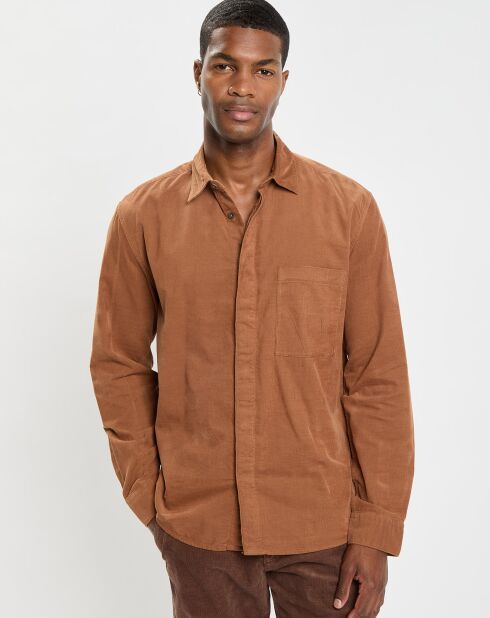 Chemise Regular Fit en Velours milleraies marron