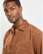 Chemise Regular Fit en Velours milleraies marron