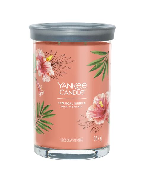 Candela profumata Tropical Breeze Signature a bicchiere grande, 2 stoppini da 60-100 ore