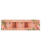 Coffret 3 bougies votives Signature Brise Tropicale - 1 mèche 10h