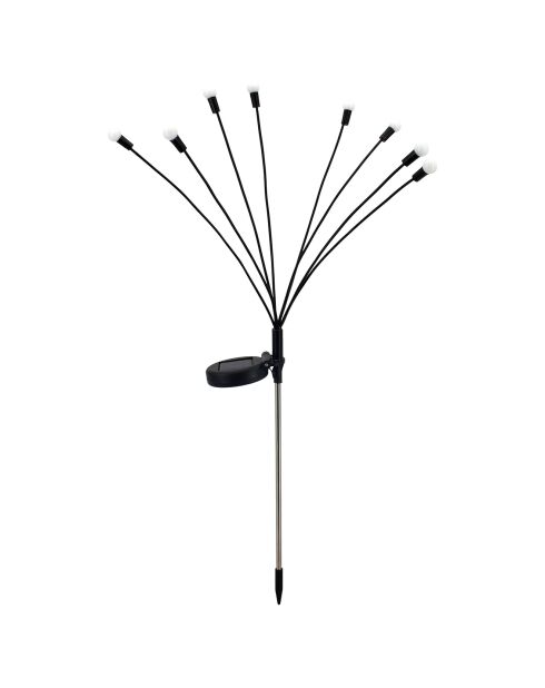 Décoration lumineuse à énergie solaire Bouquet 8 LED noire - 69/63.5x11,5x7.3 cm