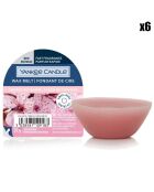 6 Fondants de cire Fleur de Cerisier -  8h