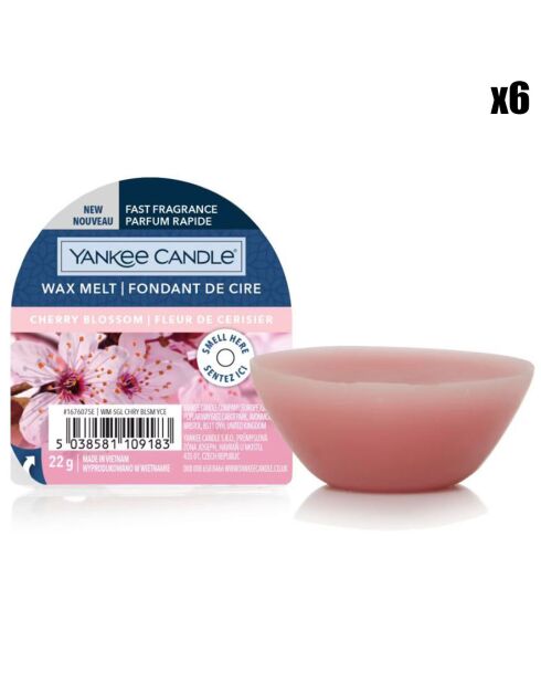 6 Fondants de cire Fleur de Cerisier -  8h