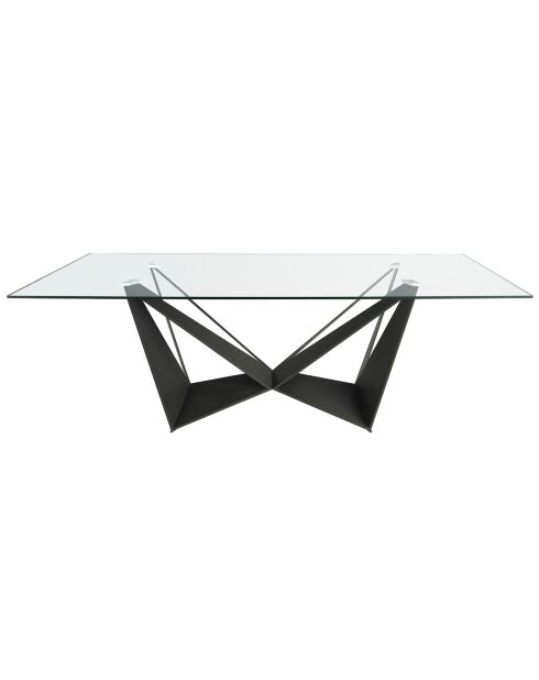 Table à manger avec plateau fixe en verre trempé noir mat/transparent - 240x120x75 cm