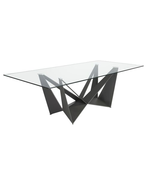 Table à manger avec plateau fixe en verre trempé noir mat/transparent - 240x120x75 cm