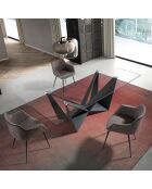 Table à manger avec plateau fixe en verre trempé noir mat/transparent - 240x120x75 cm
