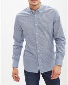 Chemise droite David micro imprimée bleue