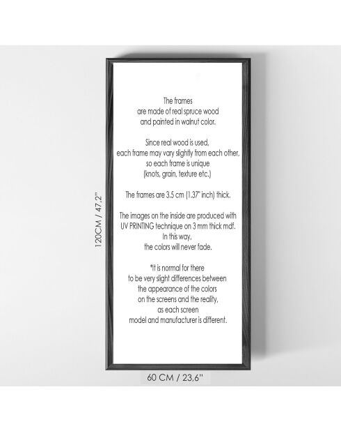 Pittura decorativa con cornice Volto femminile - 60x120x3,5 cm