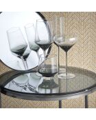 2 Flûtes à Champagne fumées Secrets transparent/noir - 23 cl