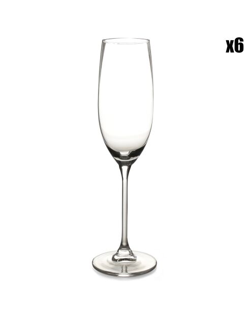 6 Flûtes à Champagne Tinta transparentes - 21 cl