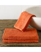 3 Serviettes invité Imagine oranges - 30x50 cm