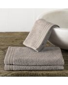 3 Serviettes invité Imagine taupe - 30x50 cm