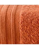 3 asciugamani Imagine arancioni - 50x100 cm