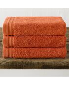 3 asciugamani Imagine arancioni - 50x100 cm