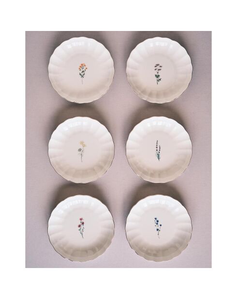 6 platos llanos de porcelana multicolor - D.20cm