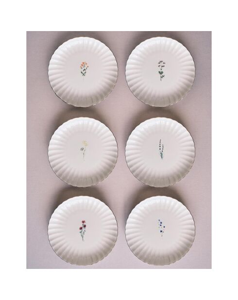 6 Assiettes à dessert en Porcelaine multicolores -  D.21 cm