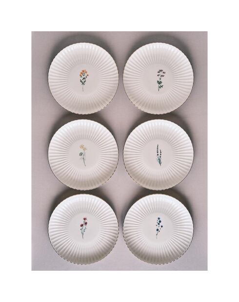6 platos llanos de porcelana multicolor - D.27cm