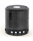 Enceinte Bluetooth GMB BY INKASUS- SPK-BT-08-BK noire