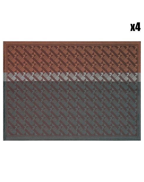 4 Sets de table enduits Veine Graphique Acajou rouges - 50x36 cm