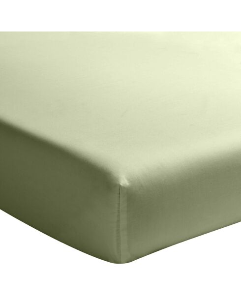 Lenzuolo con angoli elasticizzati in percalle di cotone lavato 30 cm verde mare