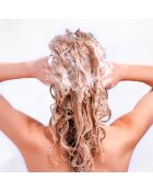 Shampooing moussant vegan Purifiant pour tous types de cheveux - 300 ml