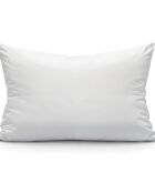 Oreiller Moelleux Coton Bio blanc - 45x70 cm