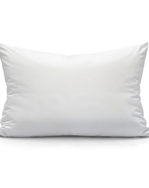 Oreiller Moelleux Coton Bio blanc - 45x70 cm