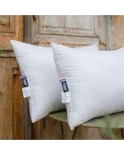 Oreiller Moelleux Coton Bio blanc - 45x70 cm