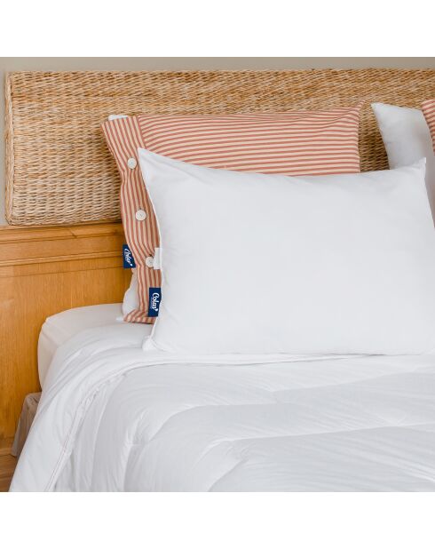 Oreiller Moelleux  Ecoresponsable blanc - 45x70 cm