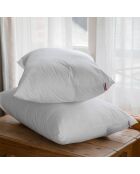 2 Oreillers Moelleux Ecoresponsable blancs - 45x70 cm