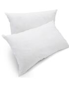 2 Oreiller Oreiller Moelleux Coton Bio blancs - 45x70 cm