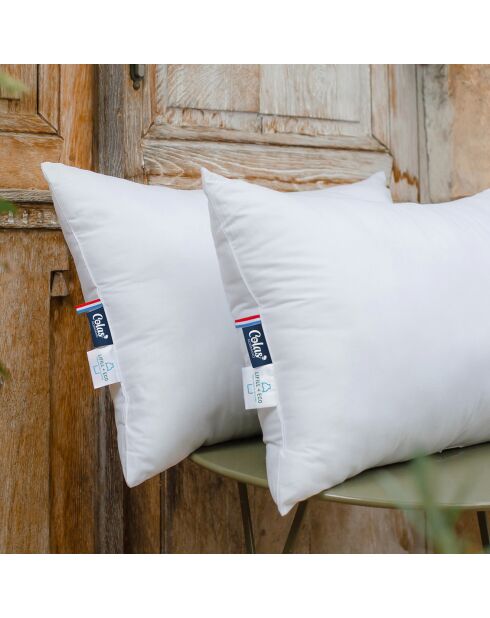 2 Oreiller Oreiller Moelleux Coton Bio blancs - 45x70 cm