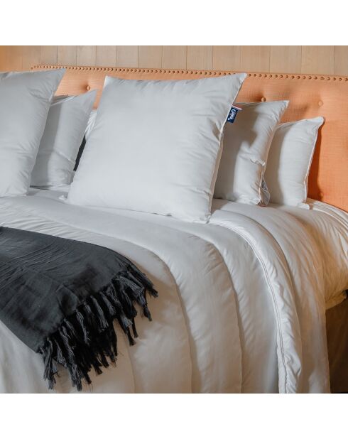 2 Oreillers Thermorégulant  Moelleux Cool In® blancs - 60x60 cm