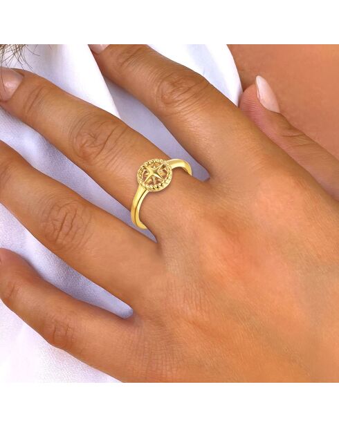 Geelvergulde zilveren ring
