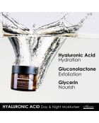 Hyaluronsäure-Feuchtigkeitscreme für Tag und Nacht - 60 ml