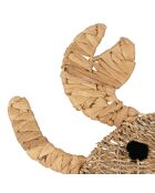 Natuurlijke muurdecoratie met zomerkrab aan zee - 55x44 cm