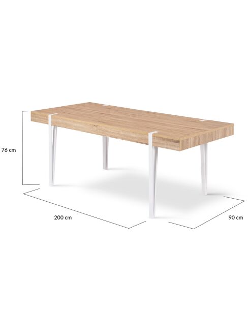 Table repas Hudson 10 personnes bois/blanc - 200x90x76 cm