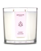 Aromatische Duftkerze nach Kirschblüten, 2 Dochte, 80 Stunden
