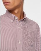 Chemise Regular Fit Pop bordeaux