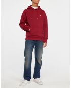 Sweat Hood uni bordeaux