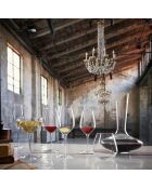 6 transparante Atelier Champagneglazen - 27cl