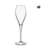 6 calici da champagne trasparenti Atelier - 20cl