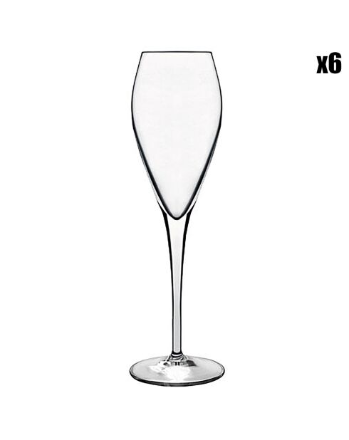 6 calici da champagne trasparenti Atelier - 20cl