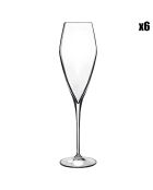 6 transparante Atelier Champagneglazen - 27cl