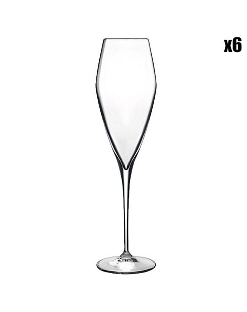 6 transparante Atelier Champagneglazen - 27cl