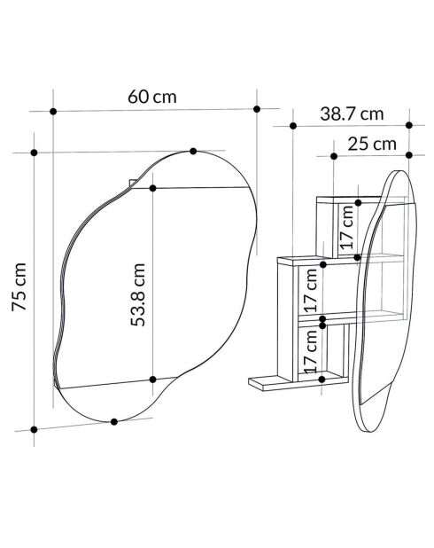 Miroir mural avec rangement Carrara carrara - 60x75x13 cm
