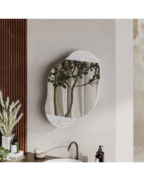 Miroir mural avec rangement Carrara carrara - 60x75x13 cm