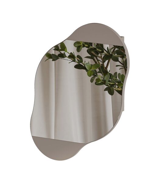 Miroir mural avec rangement Carrara moka clair - 60x75x13 cm