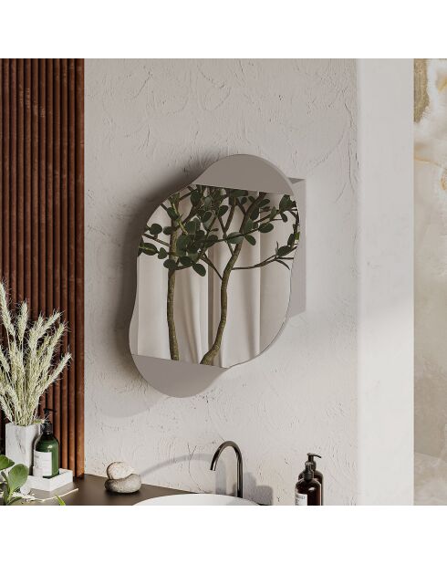 Miroir mural avec rangement Carrara moka clair - 60x75x13 cm
